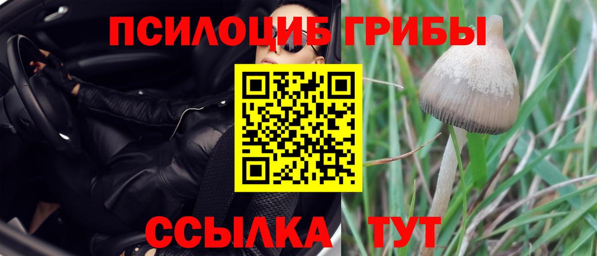 Галлюциногенные грибы MAGIC MUSHROOMS  Вход с VPN  Кизилюрт  Псилоцибиновые грибы MAGIC MUSHROOMS 